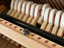 Load image into Gallery viewer, Lifter (Sticker) Wire Clamps for Drop Action Removal