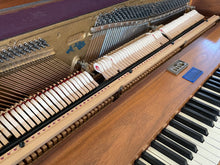 Load image into Gallery viewer, Lifter (Sticker) Wire Clamps for Drop Action Removal