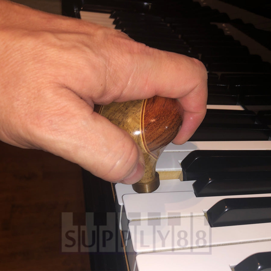 Key Tapper by Janet Guglielmino